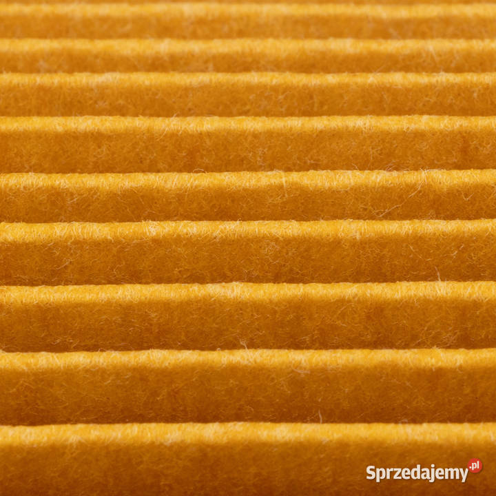 Filtr Zmywalny do Odkurzacza do Krcher MV2MV3 małopolskie Ludźmierz