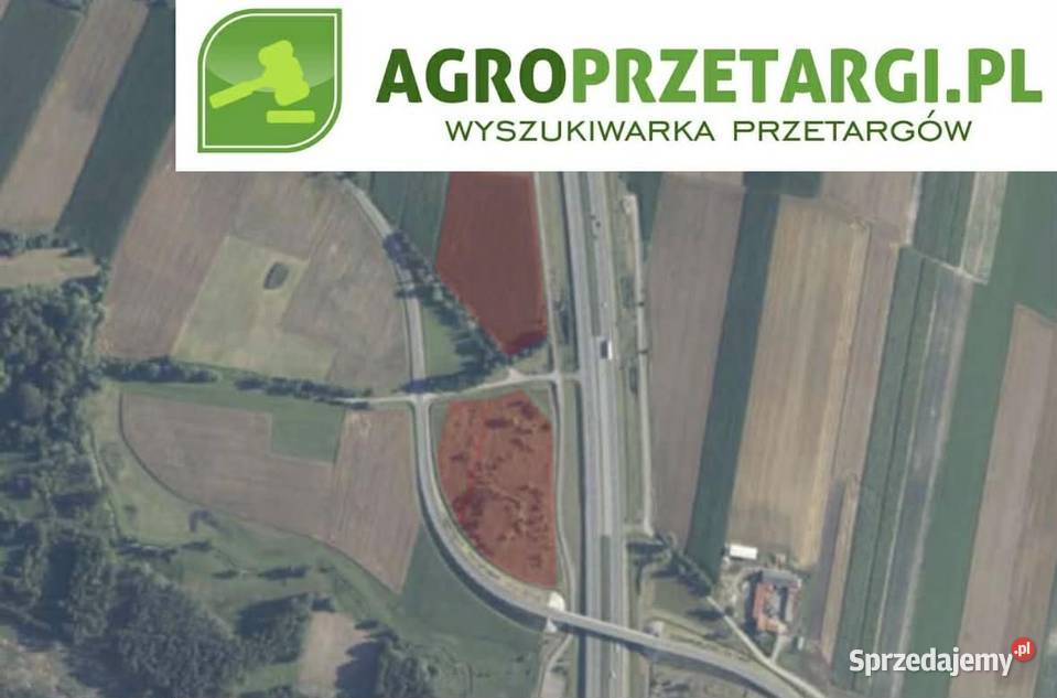 Dzierżawa 304 ha gruntu rolnego Łęczyca