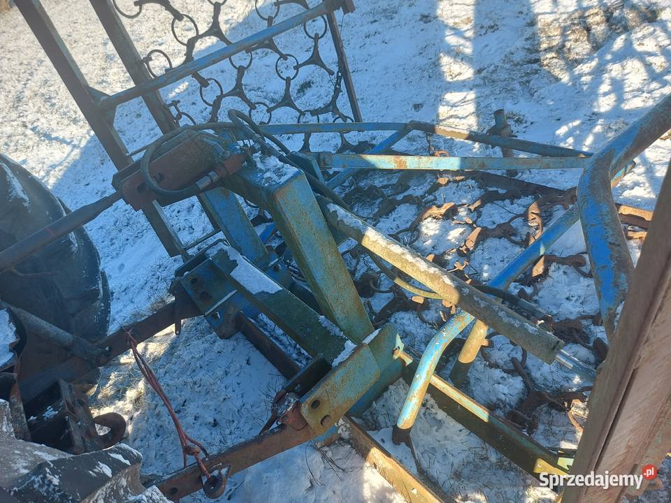 Włoka łąkowa polowa mazowieckie Sierpc