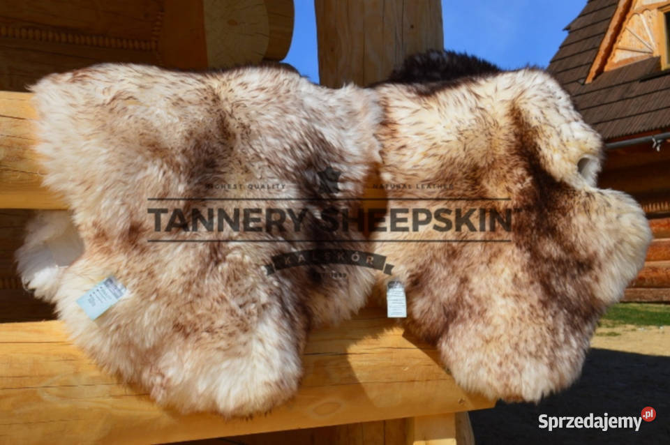Skóra OwczaSkóry Owcze XXL 3 Kolory Naturalne Szaflary