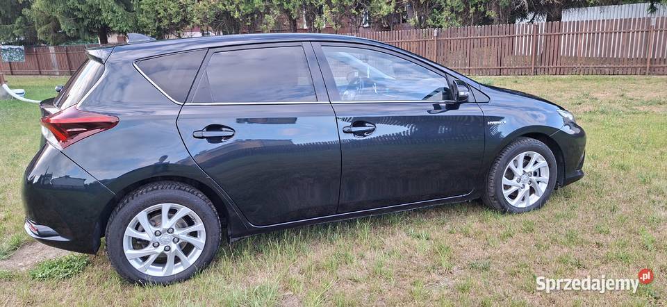 Auris18Hybryda bogataOpcja 1WŁwPL Lublin
