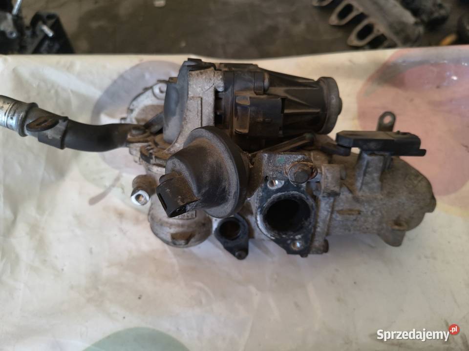 Chłodnica spalin EGR Peugeot 308 508 Citroen 16 osobowe Strzałków