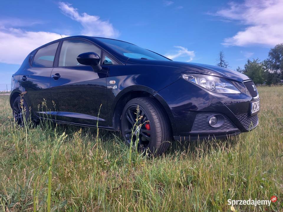 Seta Ibiza 16b Ibiza Pruszków