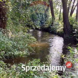 Działka inwestycyjna ze starym młynem Sprzedaż Kęty