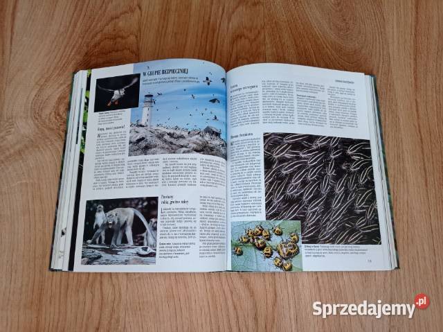 Na tropach sekretów przyrody KSIĄŻKA przyroda, krajobrazy Chorzów
