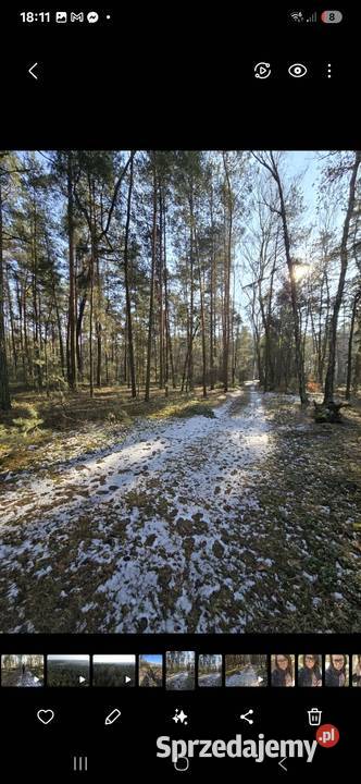 Dwie działki leśne Mianów gmina Lutomiersk 3563m2 Sprzedaż
