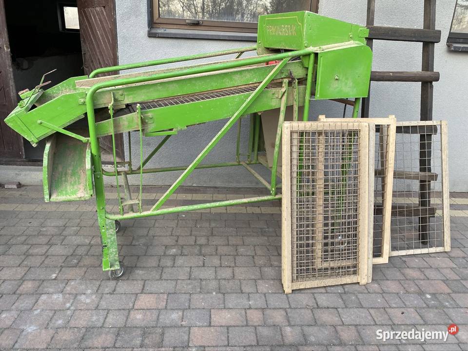 Sortownik do ziemniaków Pacanów