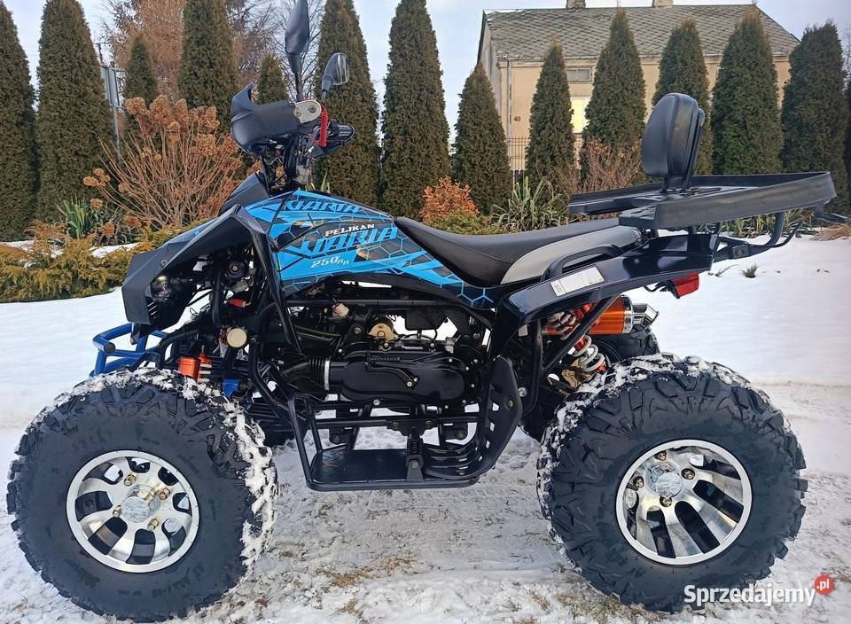 Quad 250 11 NOWY Motoryzacja Ponikiew Duża