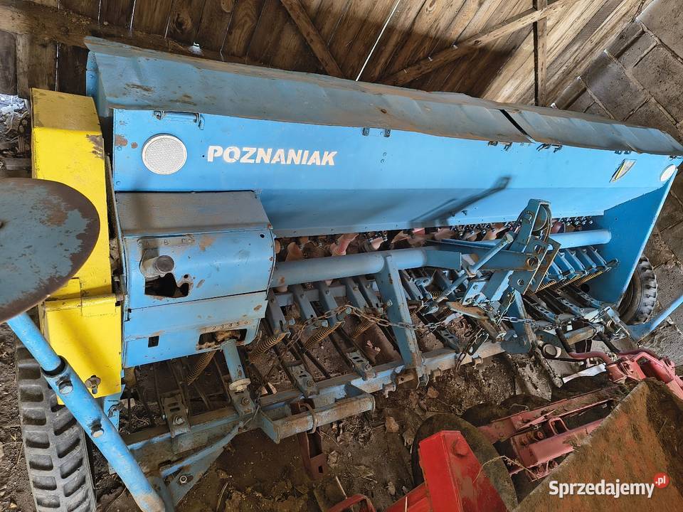 Siewnik poznaniak
