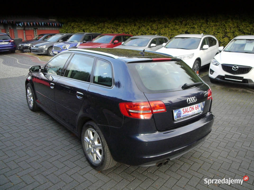 Audi A3 18 Qattro Led Xenon Bezwypadkowy Stan z Częstochowa