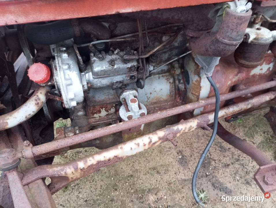 Ciągnik Massey Ferguson 35 Rolnictwo Buk