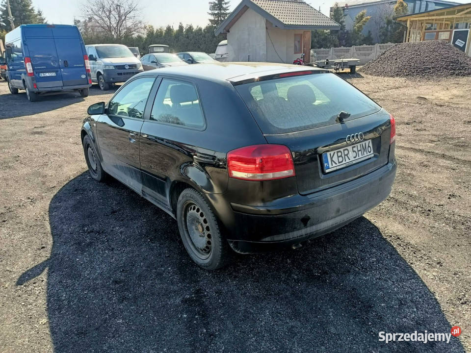 Audi A3 3drzwiowe Audi A3 19TDI 105 04r 8P małopolskie Tarnów sprzedam