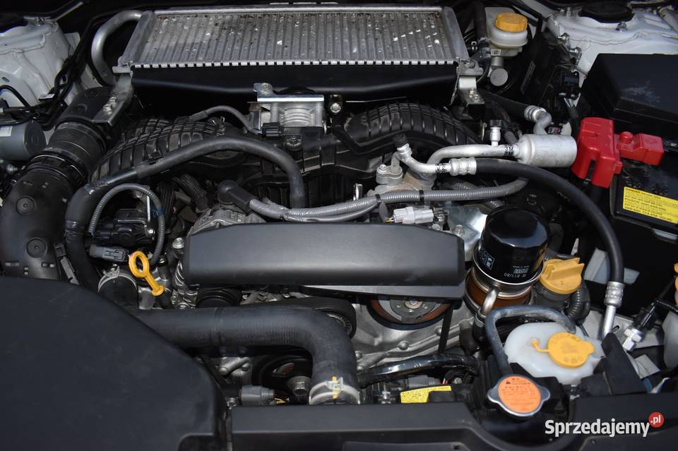 SUBARU WRX 20222023