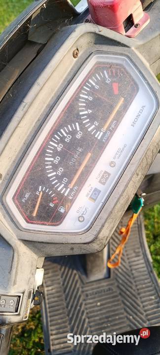 Honda Lead skuter Włodawa