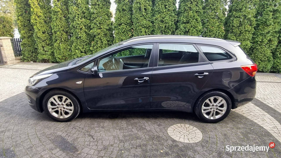 Kia Ceed Pakiet Zima Prosty Silnik 6 Bieg lakier metallic Płońsk