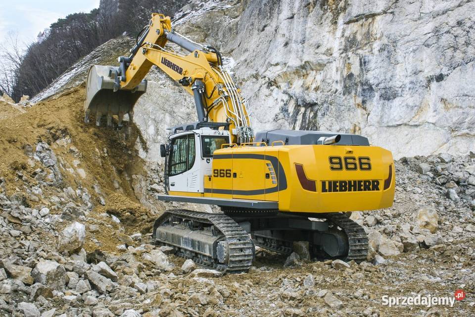 Liebherr L576 R926 Wszystkie Usuwanie Adblue DOC Kraków