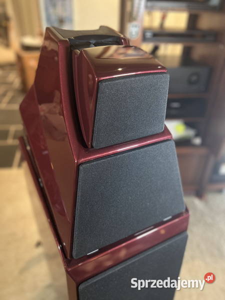 Wilson Audio Alexia Polskie Stwolno