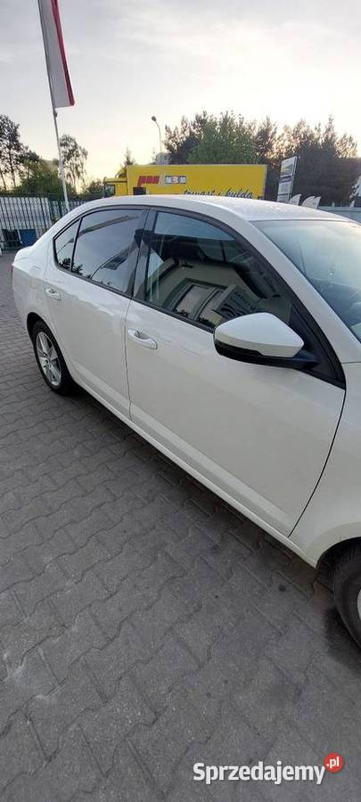 Skoda octavia kujawsko-pomorskie Wąbrzeźno