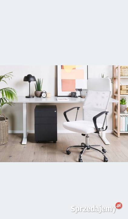 Szafka biurowa Vinsetto na dokumenty A4 3 Gorzów Wielkopolski