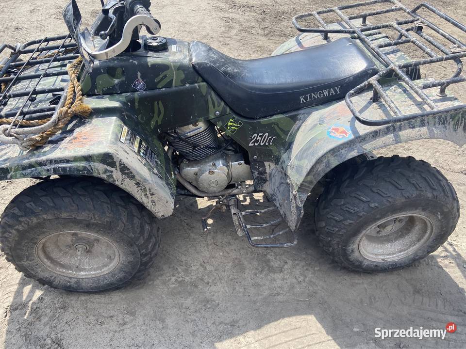 Kingway Traper 250 łańcuch Sędziszów
