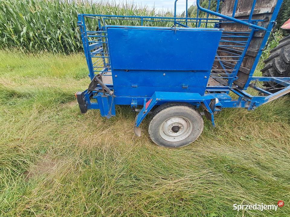 Waga mobilna bydła śląskie Kończyce Wielkie sprzedam