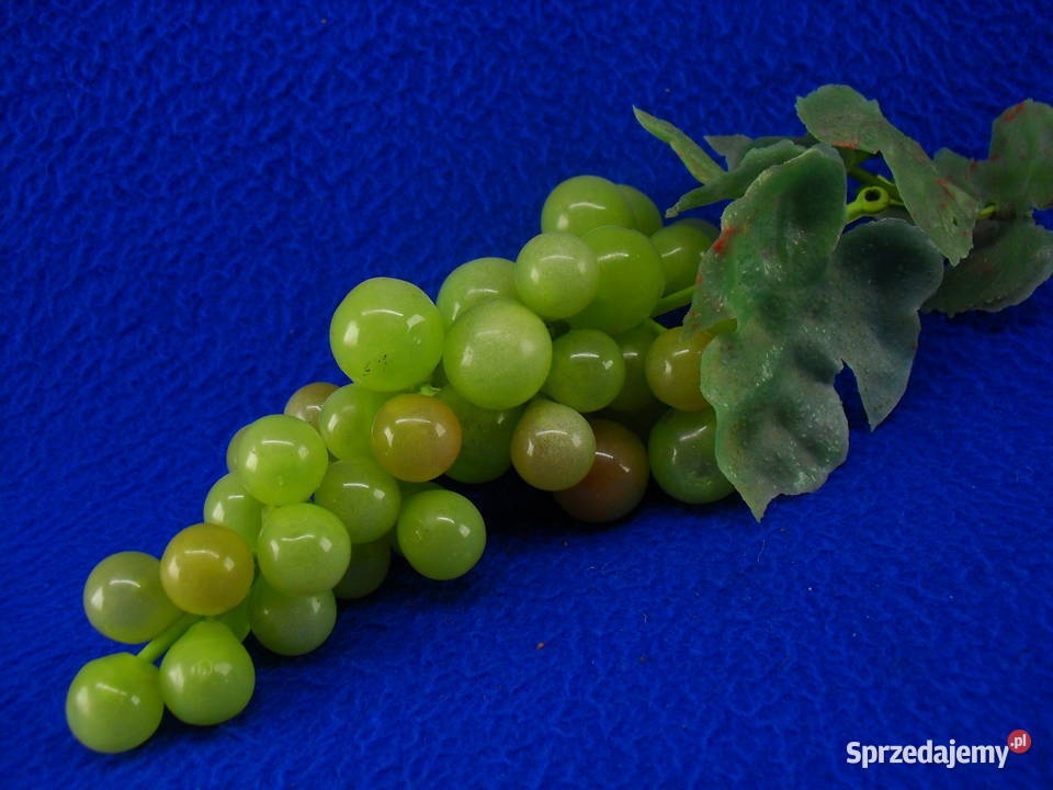 WINOGRONA DEKORACYJNE Bielawa
