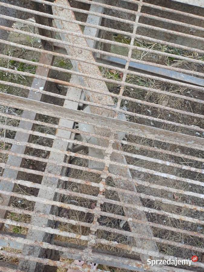 Obcinaczka do cebuli Pozostałe małopolskie Klonów