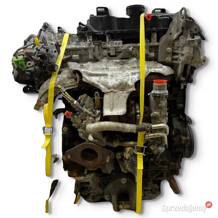 SILNIK KOMPLETNY Renault Master III Opel Movano osobowe Silniki kompletne Chełm