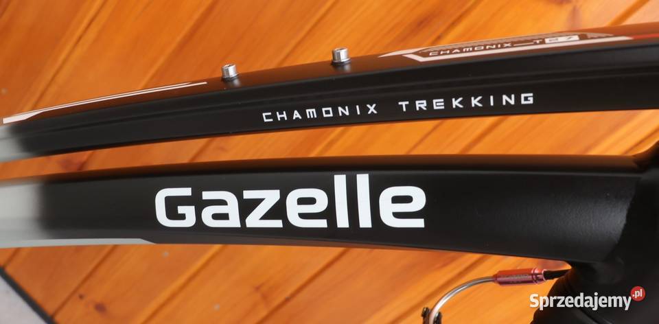 Rower damski Gazelle Chamonix TrekkingT 27 D 53