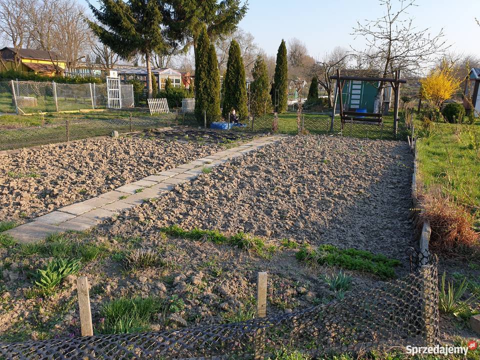 Działka ROD rekreacyjna ogrodowa Malbork