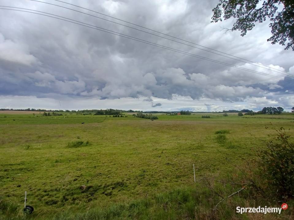 Działka drodze asfaltowej Matule sprzedam