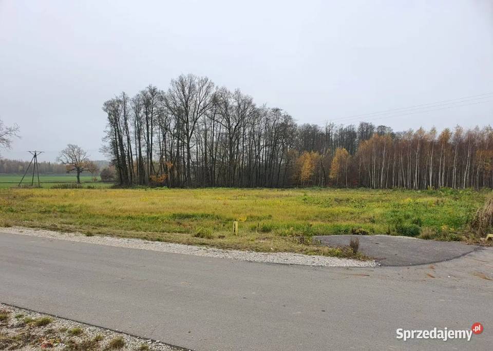 Działki budowlane 8 10 11 12 arów Dąbrowa Tarn 20m