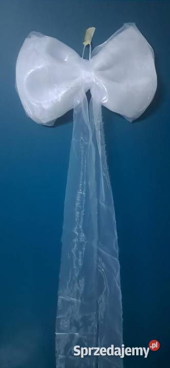 Kokarda Led kokarda Koło