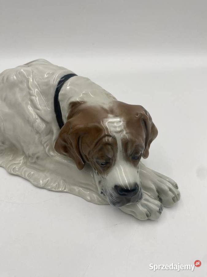 Porcelanowa figura Lężący pies Rosenthal Selb ok wielkopolskie