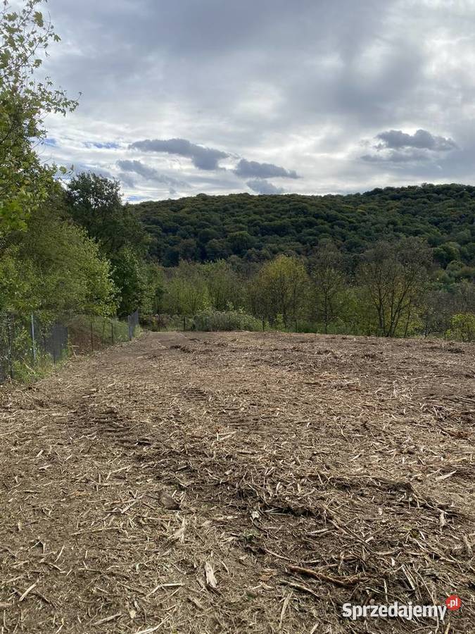 Karczowanie działek pod inwestycje Bodzanów