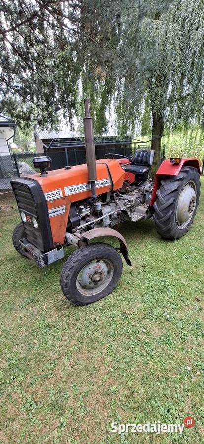 Massey ferguson 255 nie ursus Jawiszowice