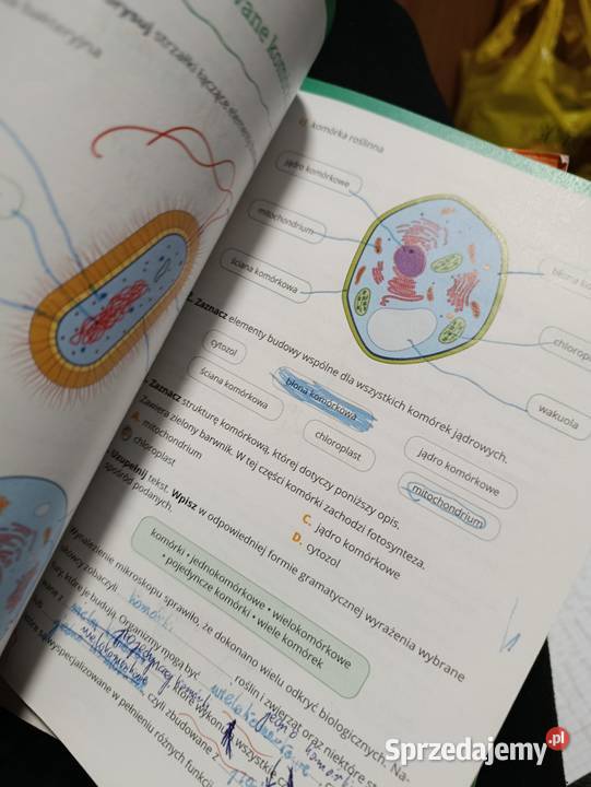 biologia bez tajemnic 5 klasa Książki i Podręczniki Poznań sprzedam