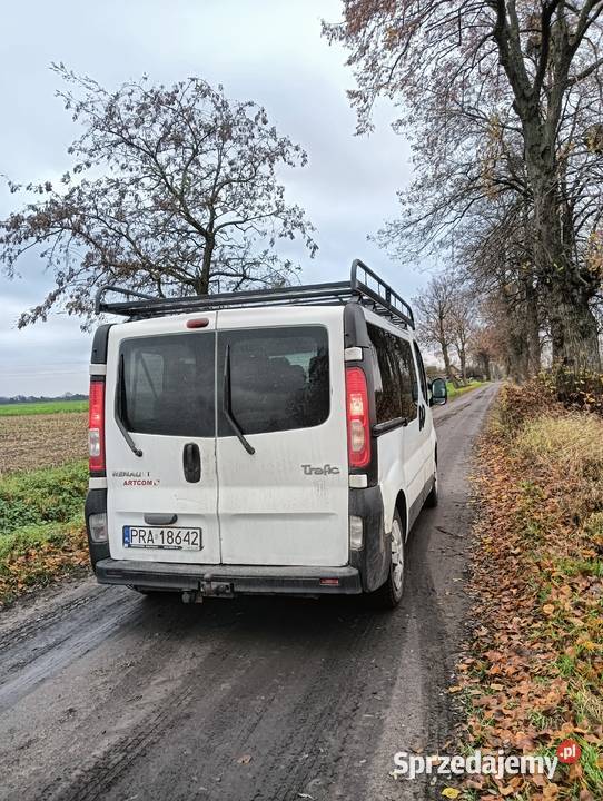 Sprzedam Renault Trafic 20 dizel 9 osobowy 2007 Trafic wielkopolskie Pobiedziska