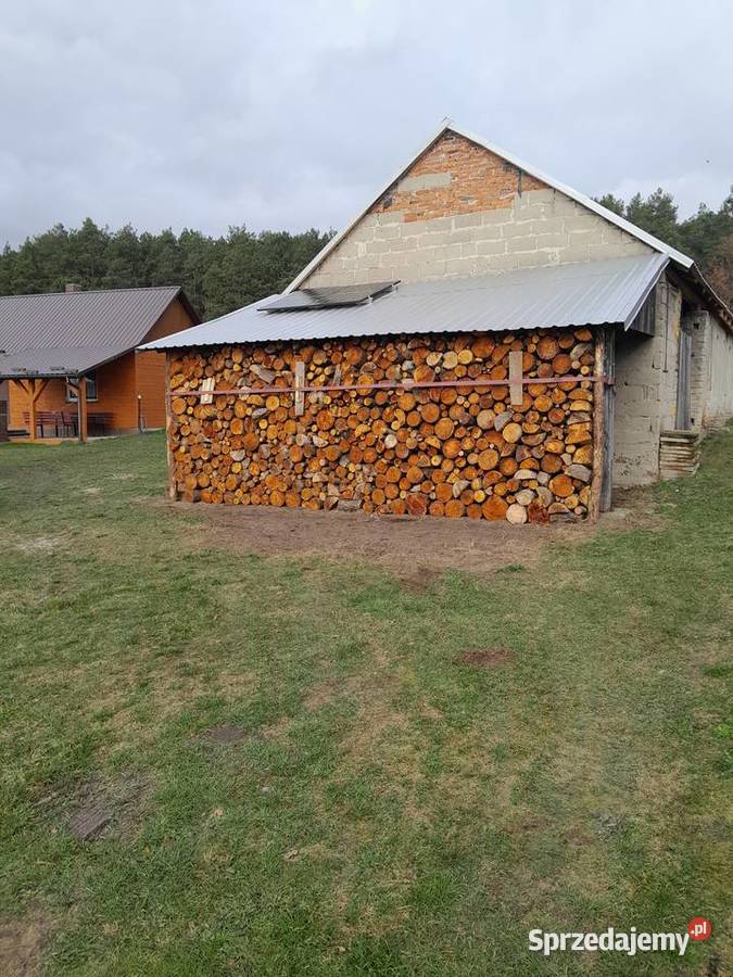 Drzewo drewno Łyczba sprzedam