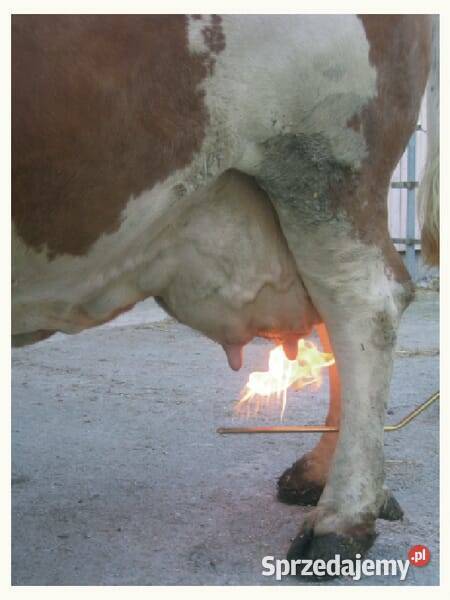 Opalarka do wymion na butlę VV15675 Kamionna