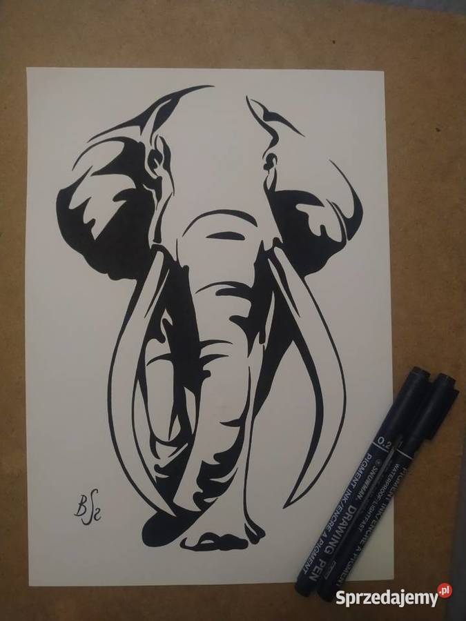 Rysunek słoń cienkopis blok t A4 250 gm2 Warszawa