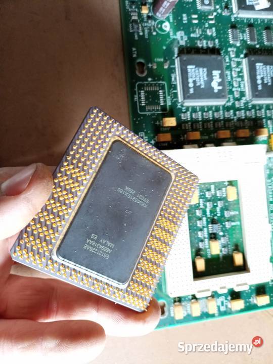 Intel Pentium procesor płyta główna zabytek Stalowa Wola sprzedam