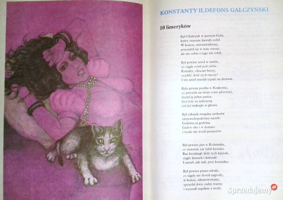 Księga parodii Danuta Sykucka Stanisław Chełm