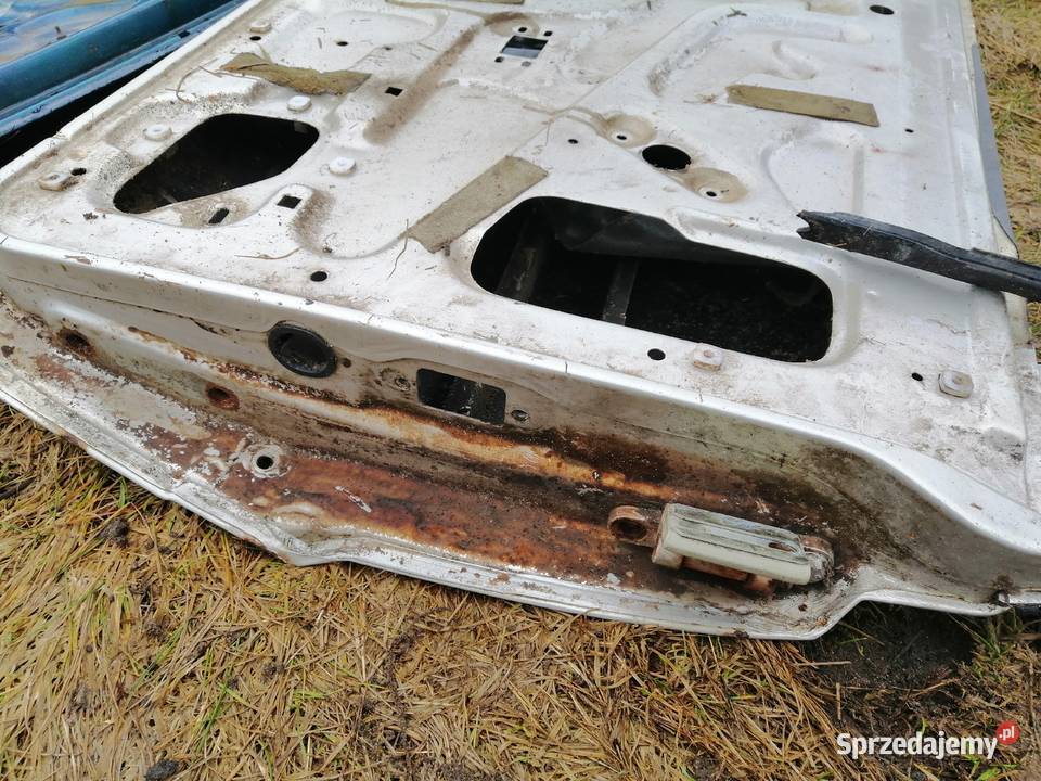 Drzwi polonez borewicz atu truck roy cargo mazowieckie Pionki
