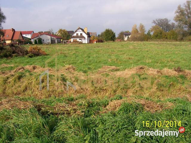 sprzedaży gruntu Choszczno