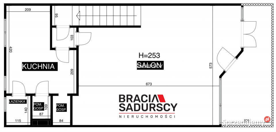 Dom szeregowy Zakopane Tetmajera 197m 3000m2 Sprzedaż Domy