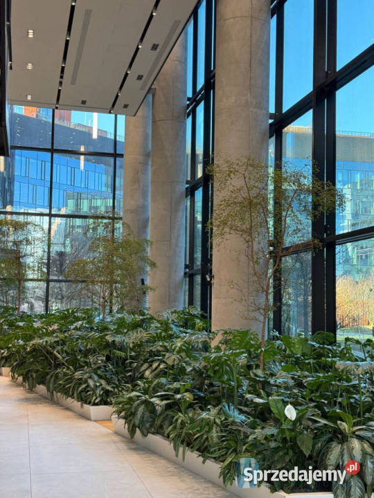 Lokal 119m2 Warszawa Burakowska