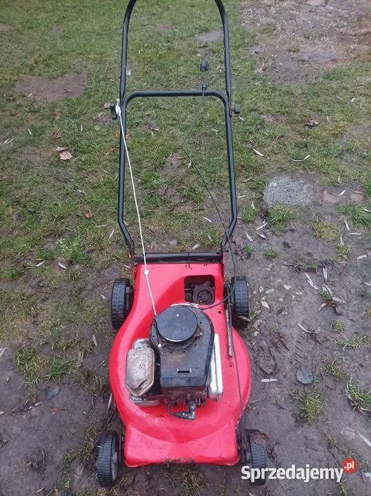 Kosiarka spalinowa do trawy mazowieckie Sterdyń