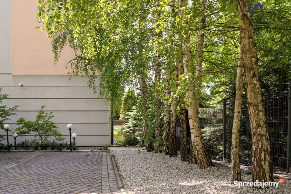 sprzedaży mieszkania Mikołów 6194m2 3pokojowe śląskie