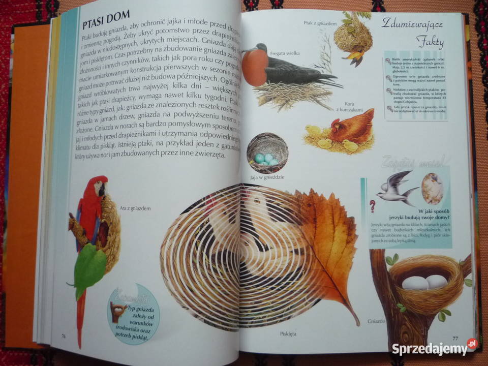 NOWA Encyklopedia Poznajemy świat Szczecin